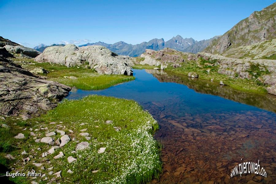 14 Primi passi del torrente Bondione.jpg